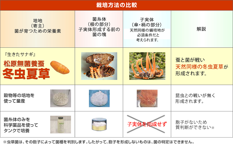 栽培方法の比較